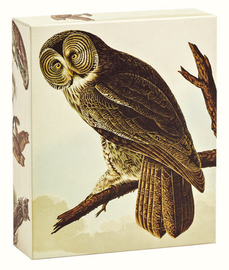 Audubon Owls QuickNotes